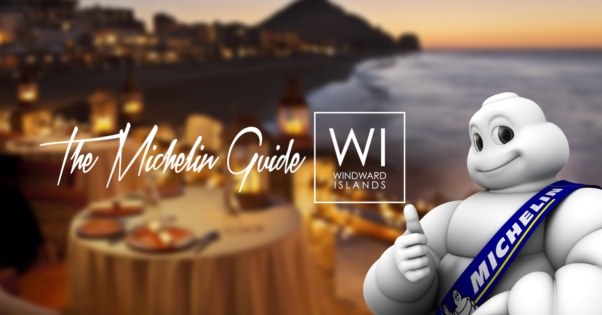 Michelin-blog-cover