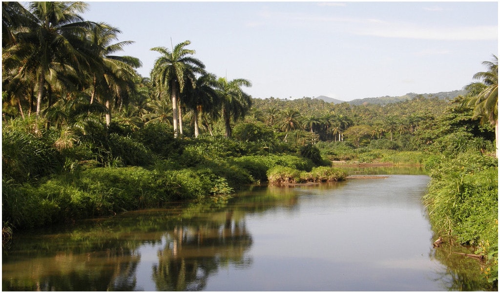 Le parc national Alejandro de Humboldt