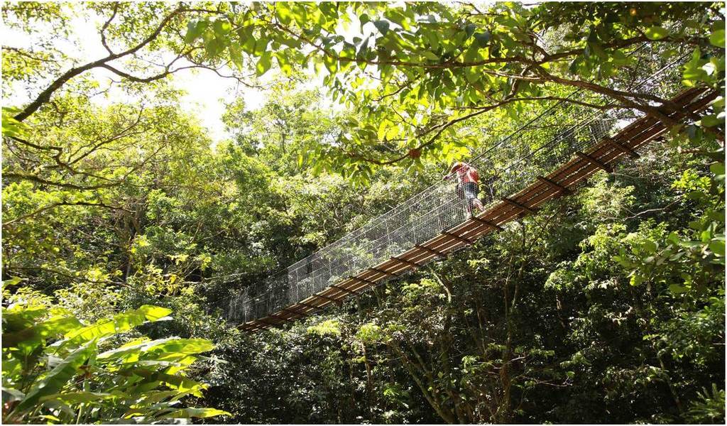 le Zoo de Guadeloupe
