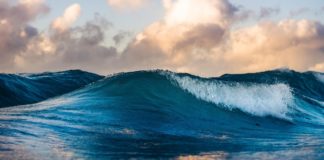 Voiliers Les Grandes Courses & Régates