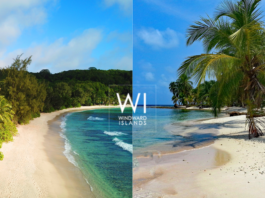 Evasion Paradisiaque : Seychelles vs Caraïbes, le Dilemme