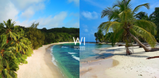 Evasion Paradisiaque : Seychelles vs Caraïbes, le Dilemme