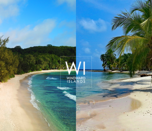 Evasion Paradisiaque : Seychelles vs Caraïbes, le Dilemme