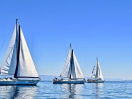 Testez vos Connaissances sur l’univers de la Voile