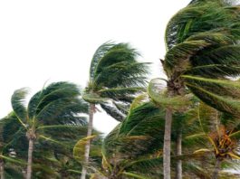 BVI Hurricane Season – Everything You Have to Know