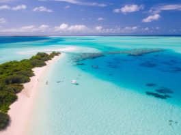 Seychelles Vs. Maldives: Which is Best for You?