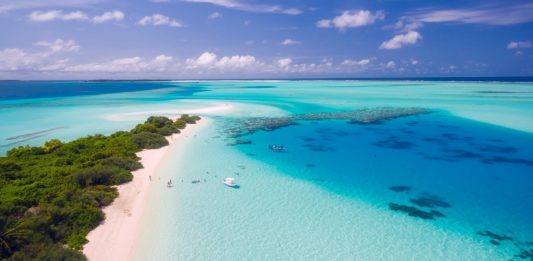 Seychelles Vs. Maldives: Which is Best for You?