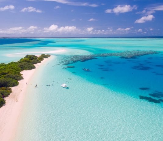 Seychelles Vs. Maldives: Which is Best for You?
