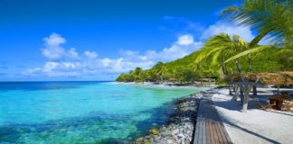 Caribbean Yacht Charter: the Full Price List