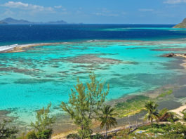 Découvrez les Trésors Cachés : 10 Îles Paradisiaques Incontournables Caribbean Island