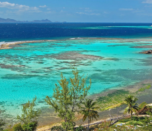 Découvrez les Trésors Cachés : 10 Îles Paradisiaques Incontournables Caribbean Island