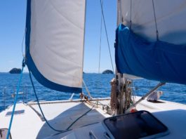 5 New Boats under 50 feet Perfect for First Time Buyers