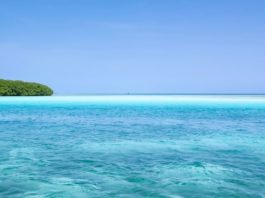 Why Choose Los Roques for Your Next Yacht Escape?