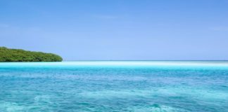 Why Choose Los Roques for Your Next Yacht Escape?