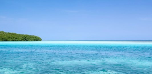 Why Choose Los Roques for Your Next Yacht Escape?