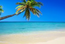 What to Do in the Caribbean? Island by Island – The Complete Guide