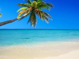 Quoi Faire dans la Caraïbe ? Île par Île, le Guide Complet