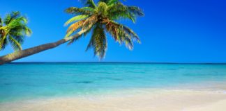 Quoi Faire dans la Caraïbe ? Île par Île, le Guide Complet