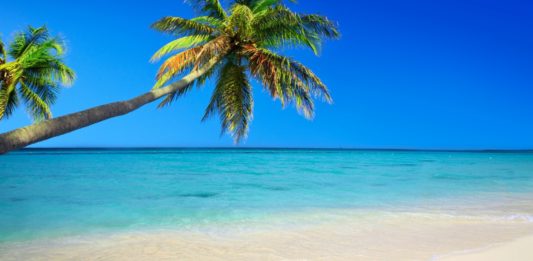 Quoi Faire dans la Caraïbe ? Île par Île, le Guide Complet