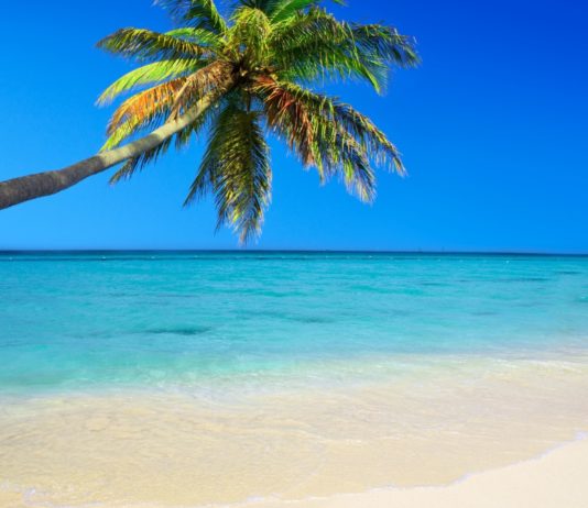 Quoi Faire dans la Caraïbe ? Île par Île, le Guide Complet