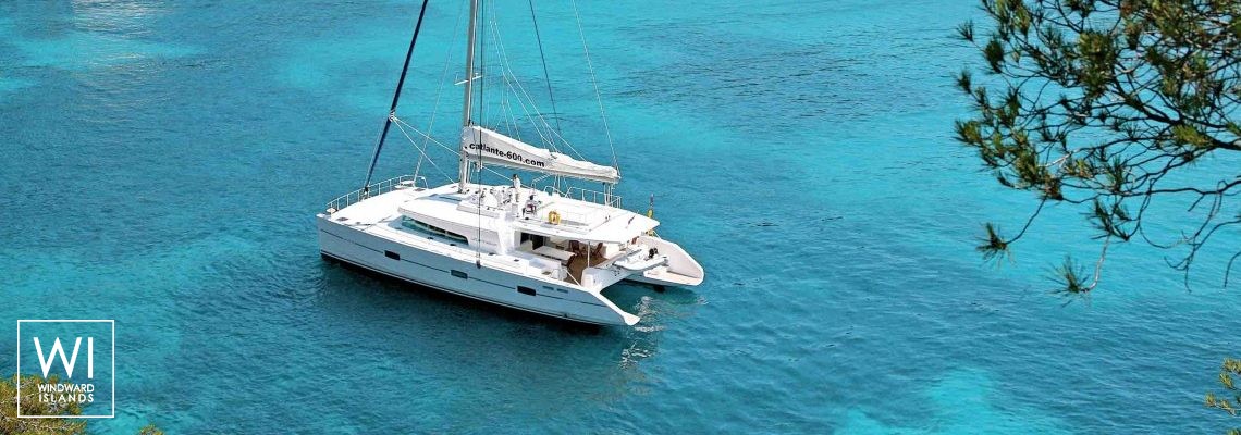 Catlante 600 Catlantech Exterior 1