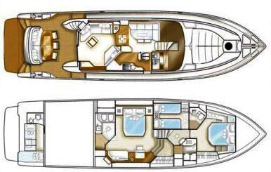Dominator Dominator 62 Layout 1