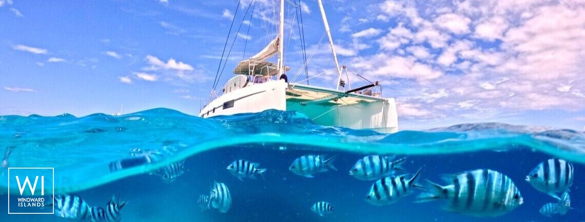 Papillon  Nautitech Catamaran Nautitech 46 Fly Exterior 1