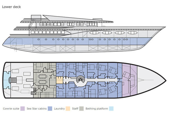 Custom Motoryacht 50m Layout 1