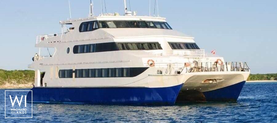 Aqua Cat   Power Cat 31M Exterior 1