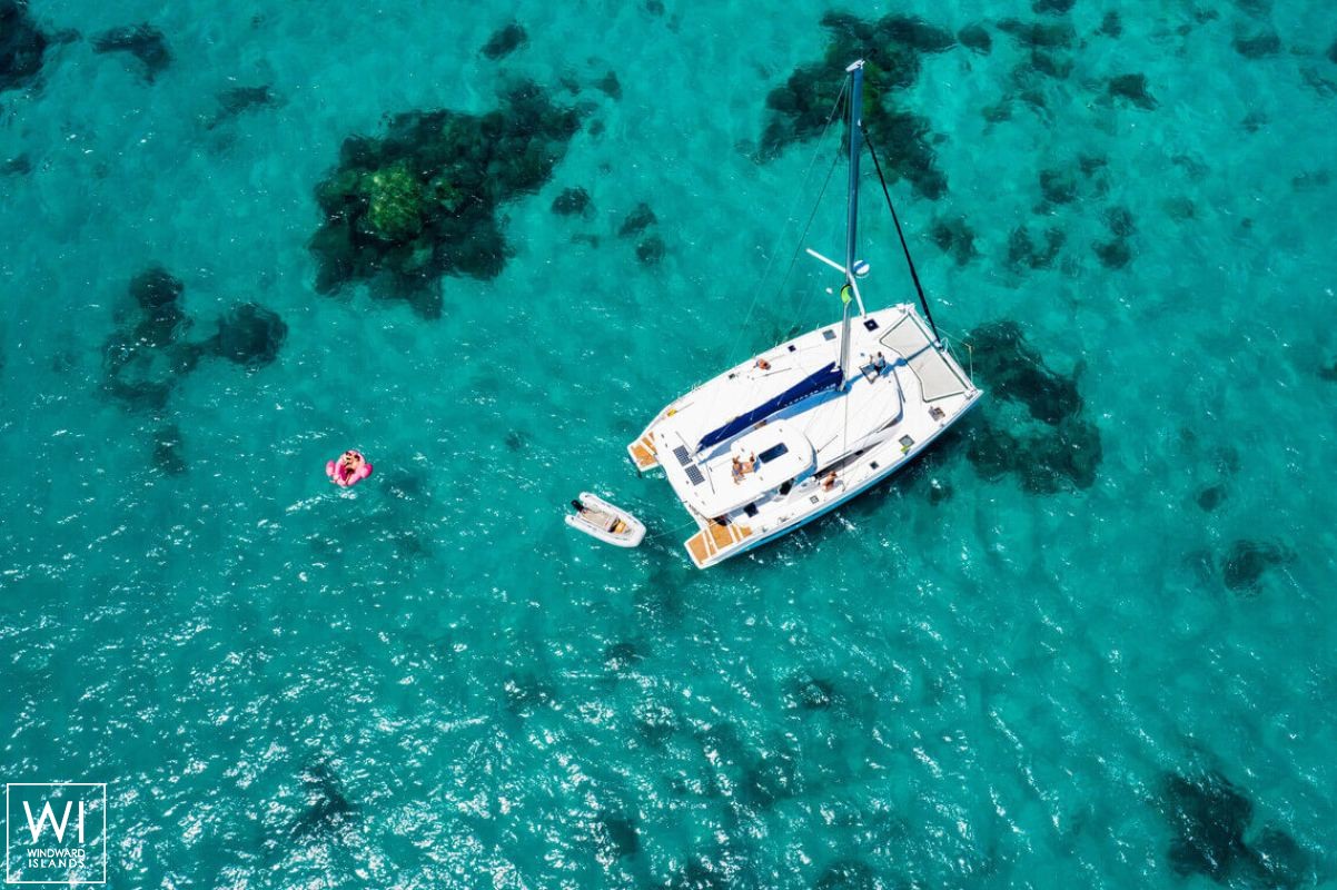 Black Swan  Robertson & Caines Leopard  4800 Exterior 7