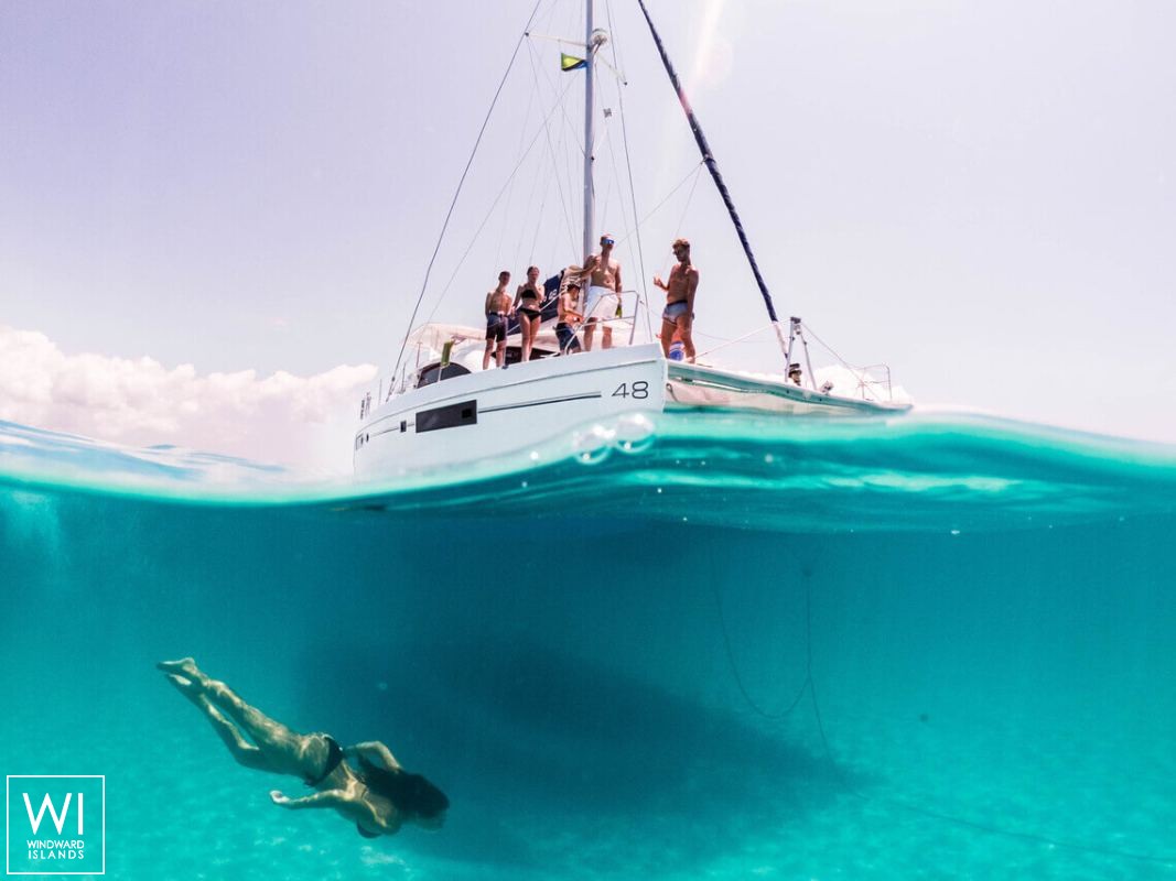 Black Swan  Robertson & Caines Leopard  4800 Exterior 4