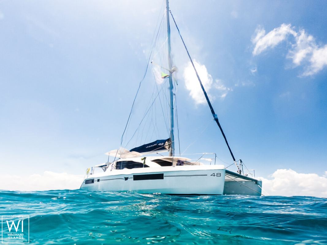 Black Swan  Robertson & Caines Leopard  4800 Exterior 2