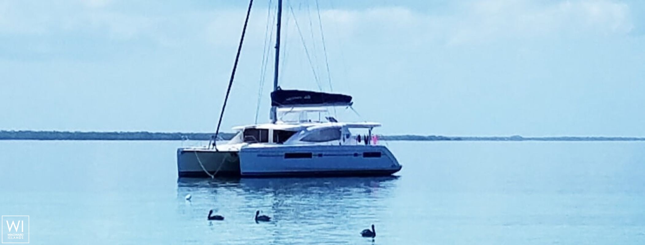 Endless Options  Robertson & Caines Leopard  4800 Exterior 2