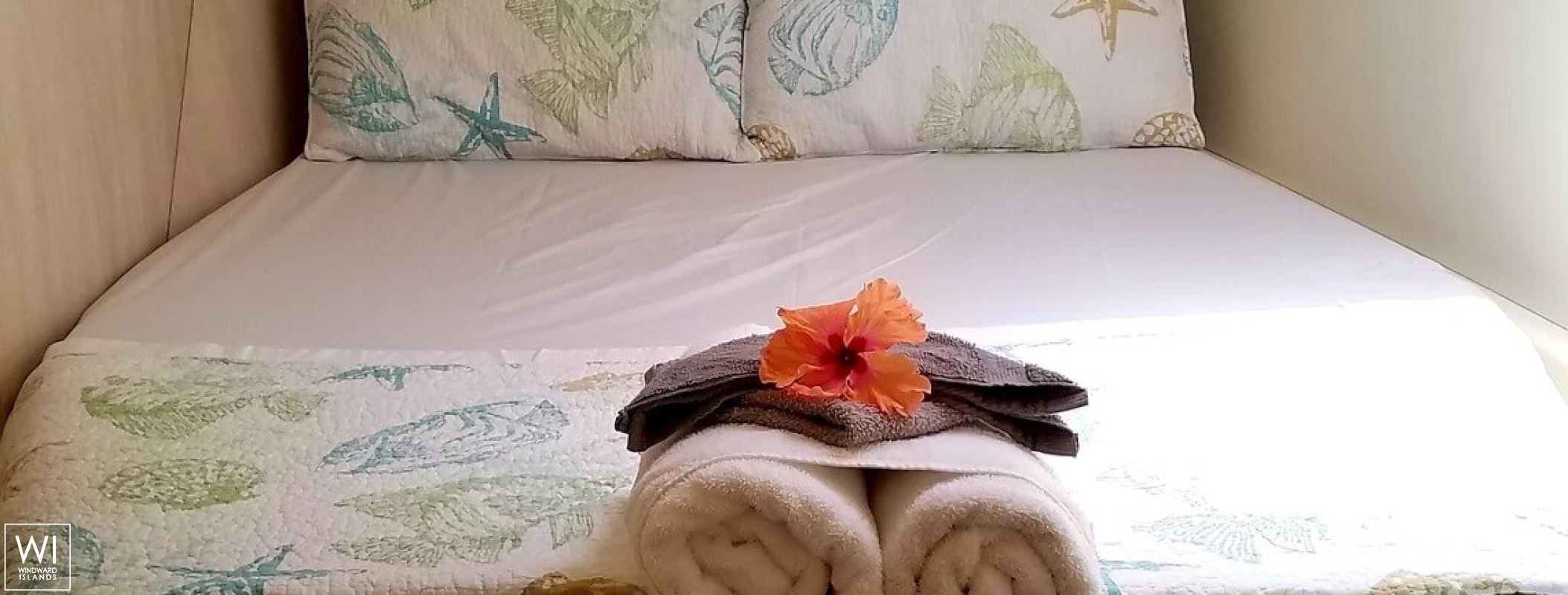 Endless Options  Robertson & Caines Leopard  4800 Interior 14