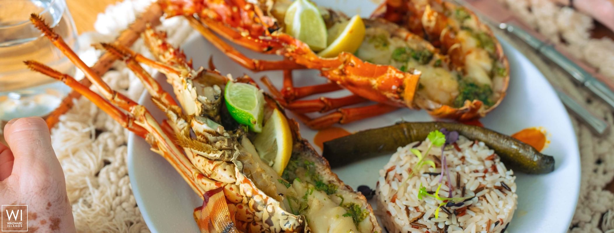 AMARI  Lagoon Catamaran Lagoon 450 Exterior 11