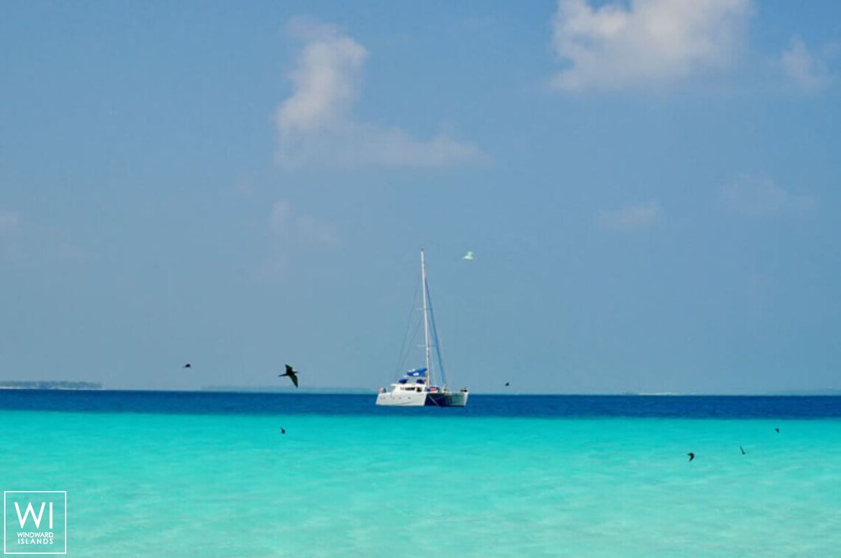 SAILFISH  Knysna Catamaran Knysna 480 Exterior 2