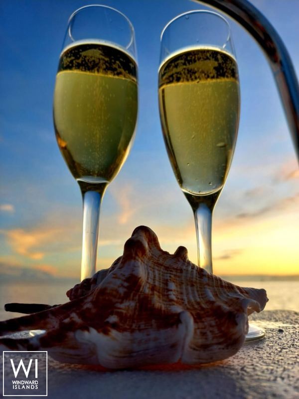 SAILFISH  Knysna Catamaran Knysna 480 Exterior 7