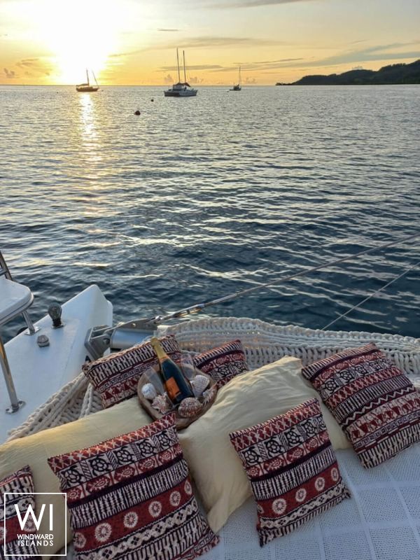 SAILFISH  Knysna Catamaran Knysna 480 Exterior 8