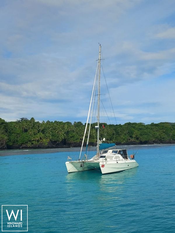 SAILFISH  Knysna Catamaran Knysna 480 Exterior 9