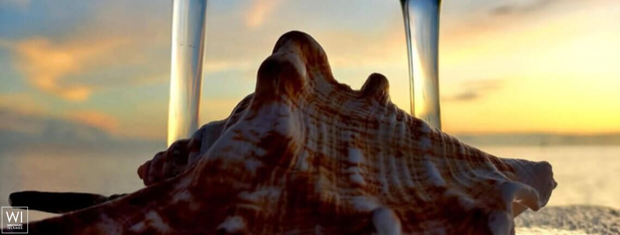 XXX  Knysna Catamaran Knysna 480 Exterior 7