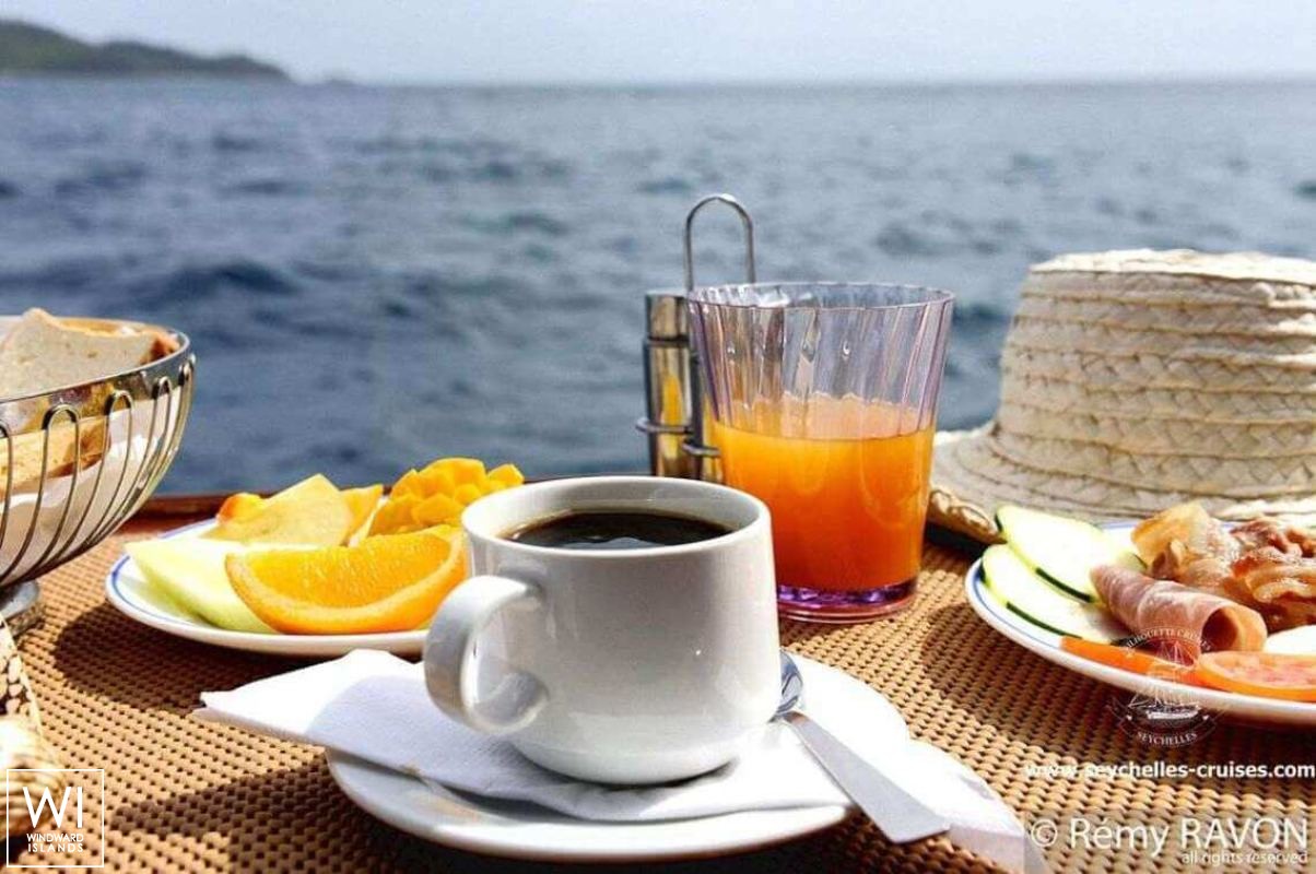 Sea Star   Schooner STS 40M Interior 9