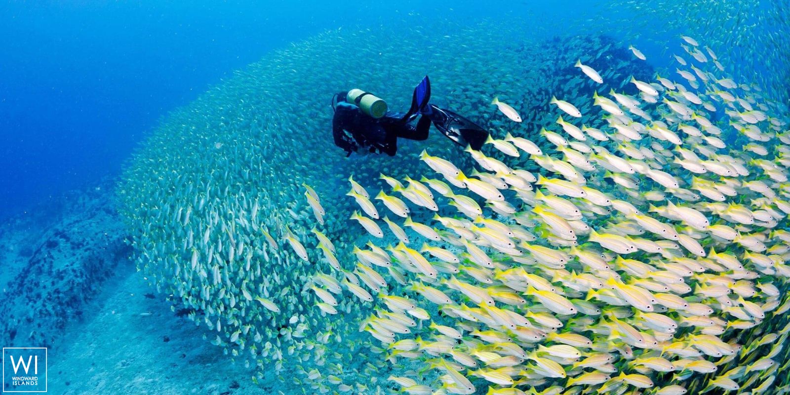 S.Y SEA PEARL   Schooner SCS 35M Exterior 4