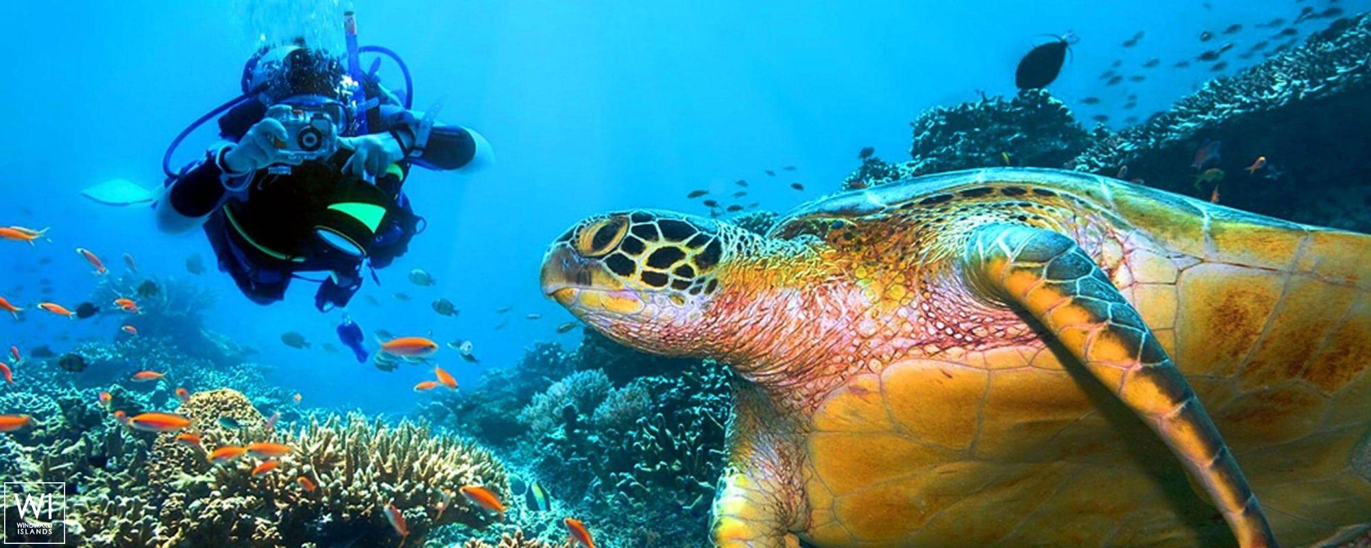 S.Y SEA PEARL   Schooner SCS 35M Exterior 12