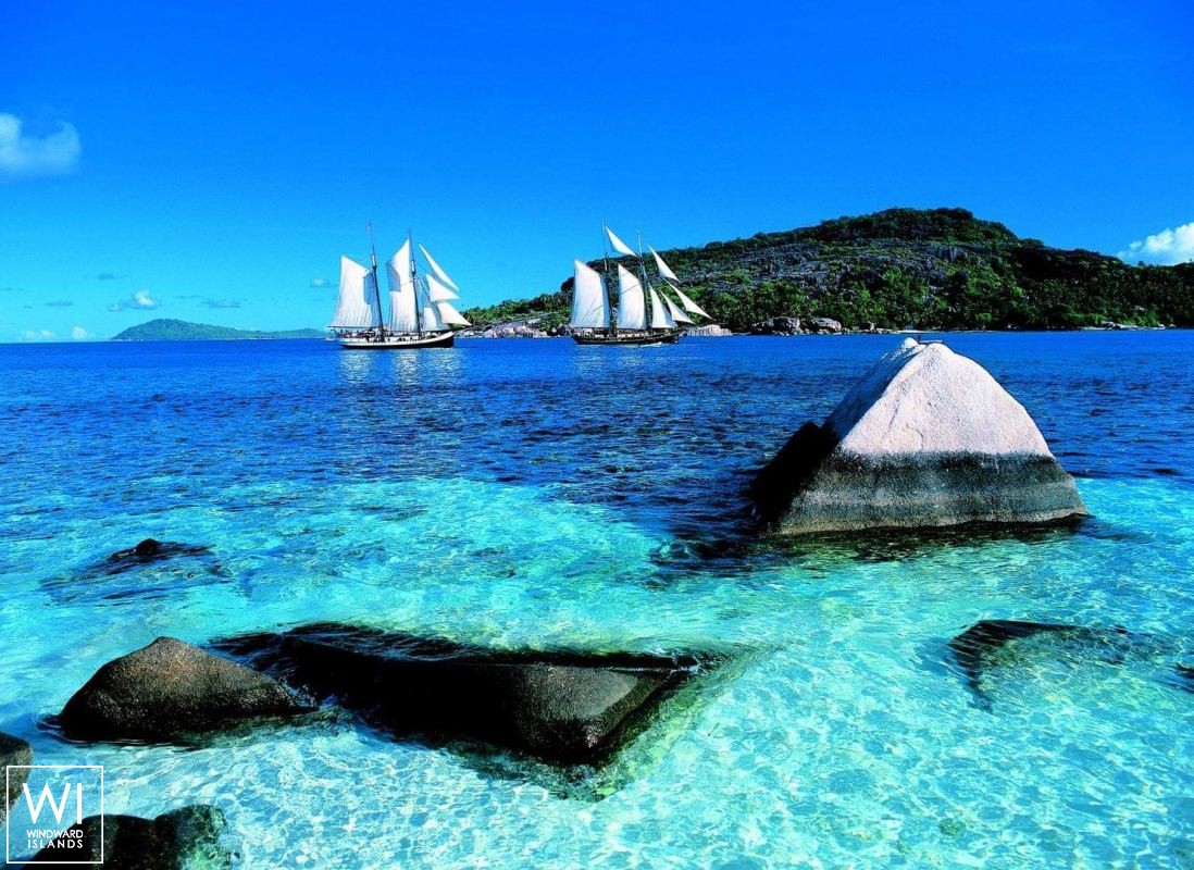 S.Y SEA PEARL   Schooner SCS 35M Exterior 14