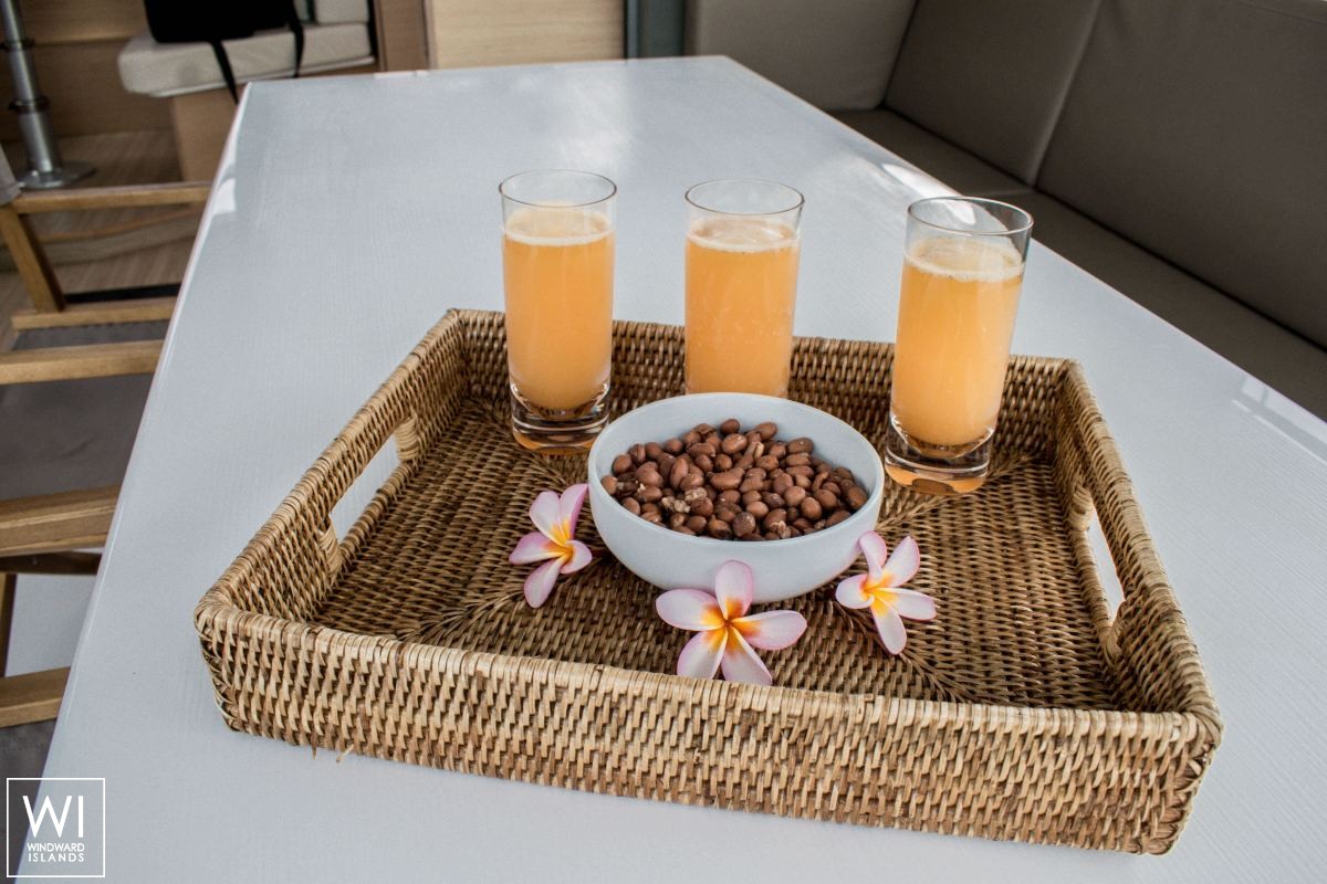 Sea Spirit  Nautitech Catamaran Nautitech 40 Interior 0