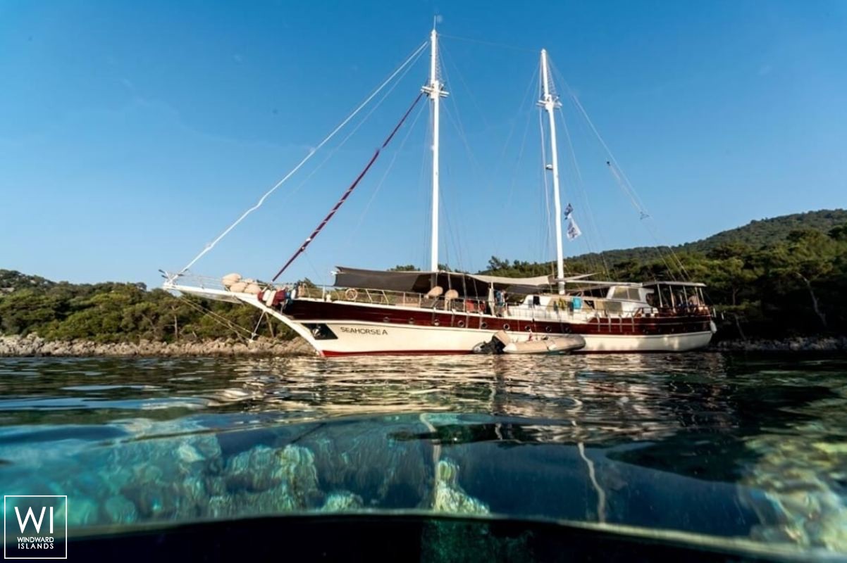 Seahorse  Turkish Gulet Gulet Scuba 30M Exterior 2