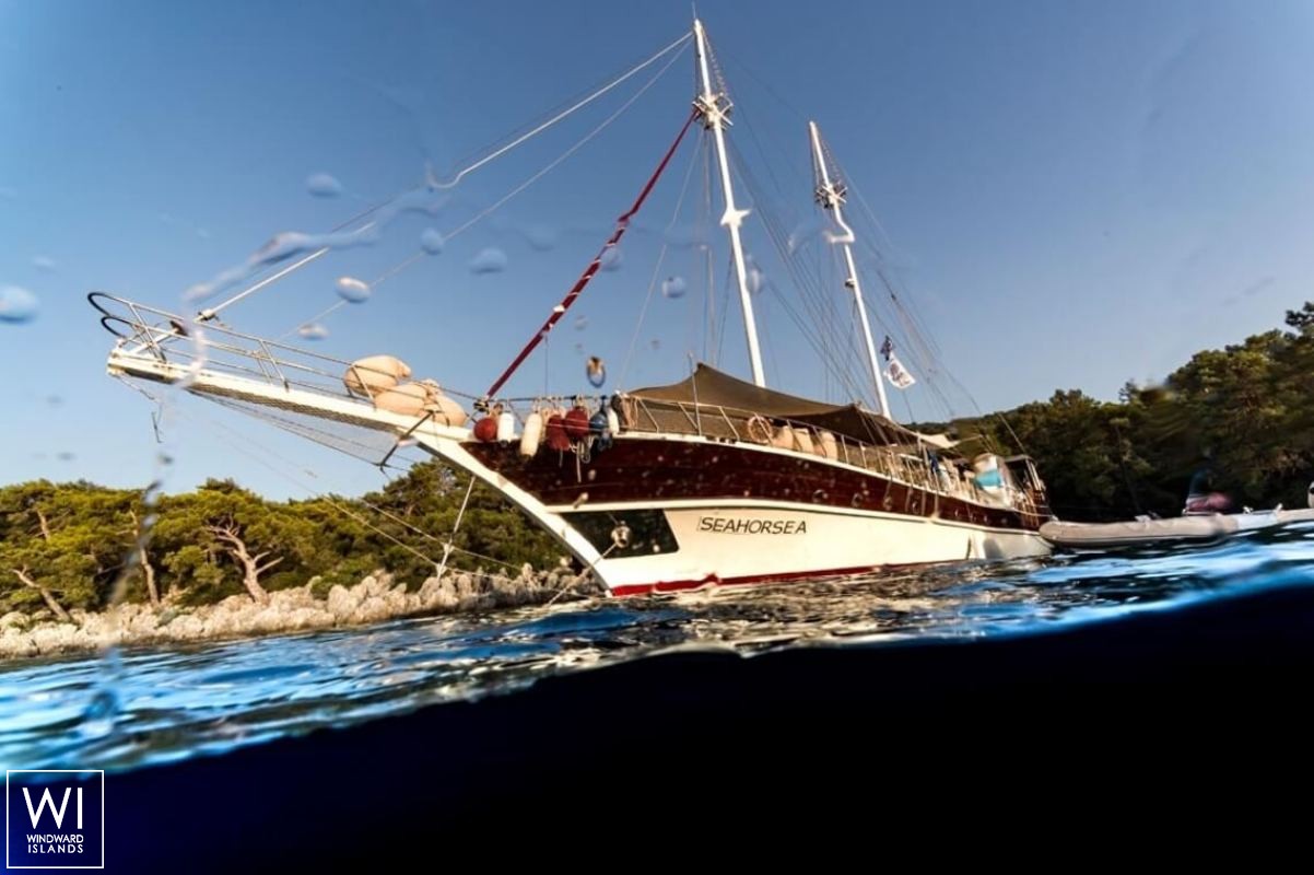 Seahorse  Turkish Gulet Gulet Scuba 30M Exterior 5