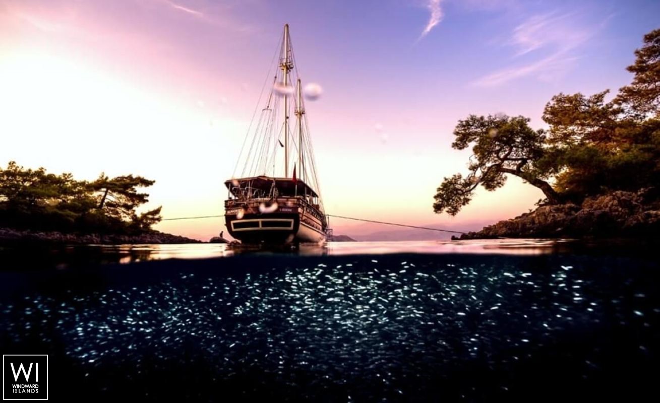 Seahorse  Turkish Gulet Gulet Scuba 30M Exterior 7