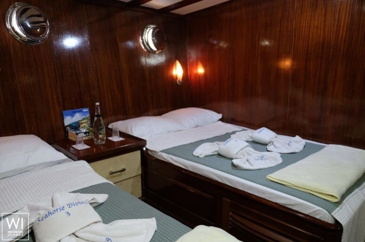 Seahorse  Turkish Gulet Gulet Scuba 30M Interior 2