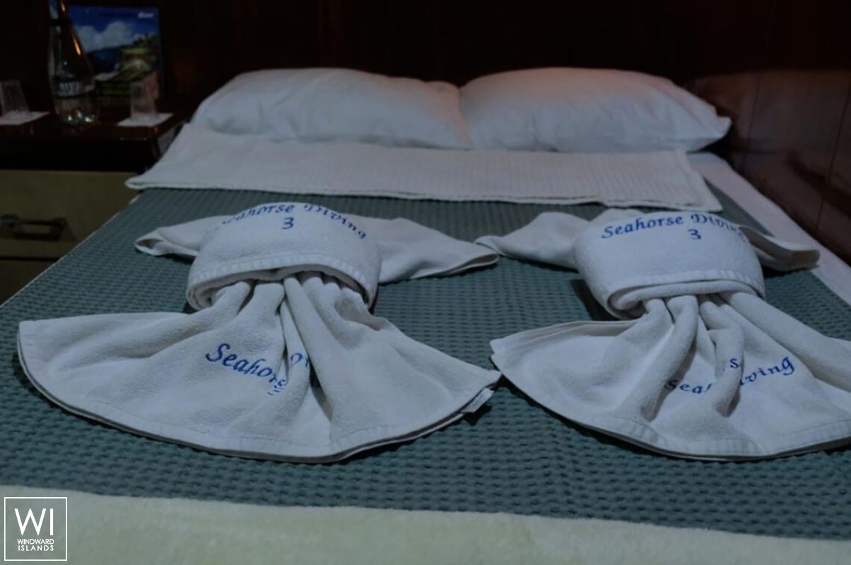 Seahorse  Turkish Gulet Gulet Scuba 30M Interior 7